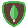 MongoDB